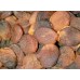 Organic Dried Apricots Turkish-1lb